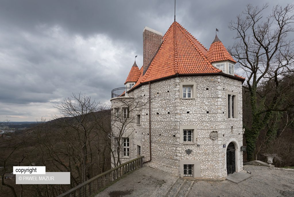 Zamek w Przegorzałach | Zdjęcia architektury